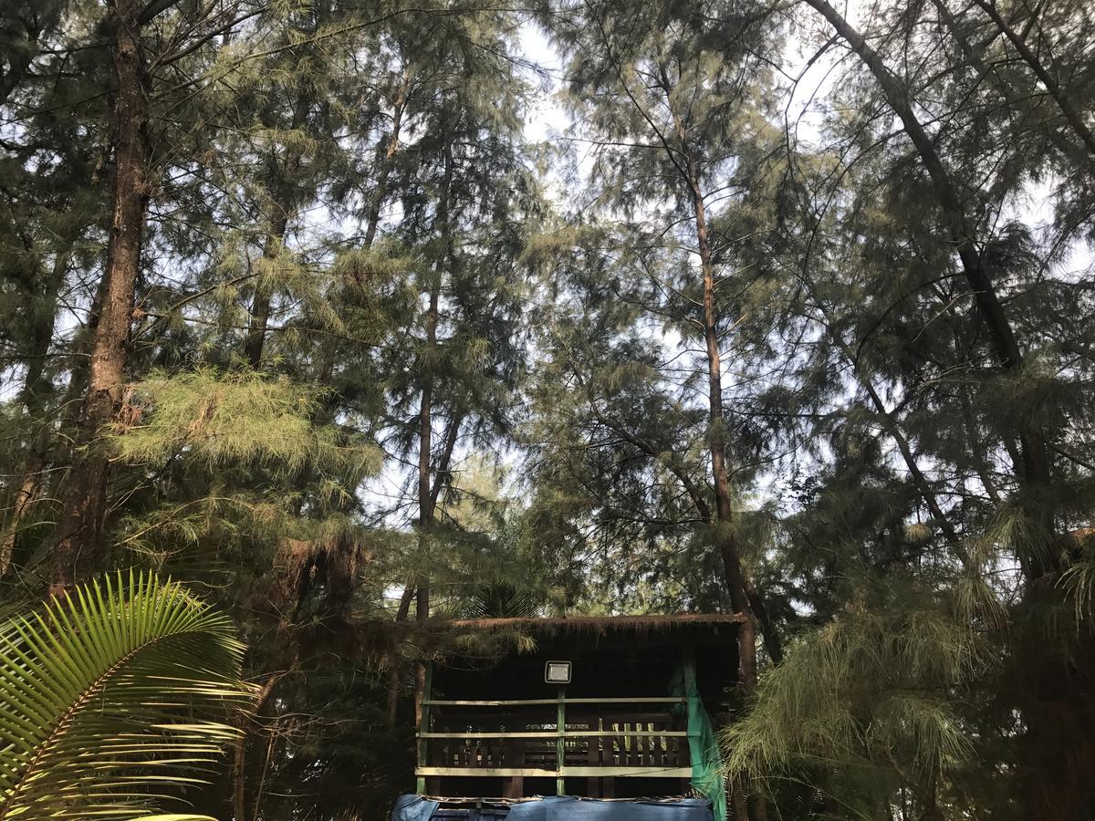 Nirvana Nature Hotel Gokarna  Eksteriør billede